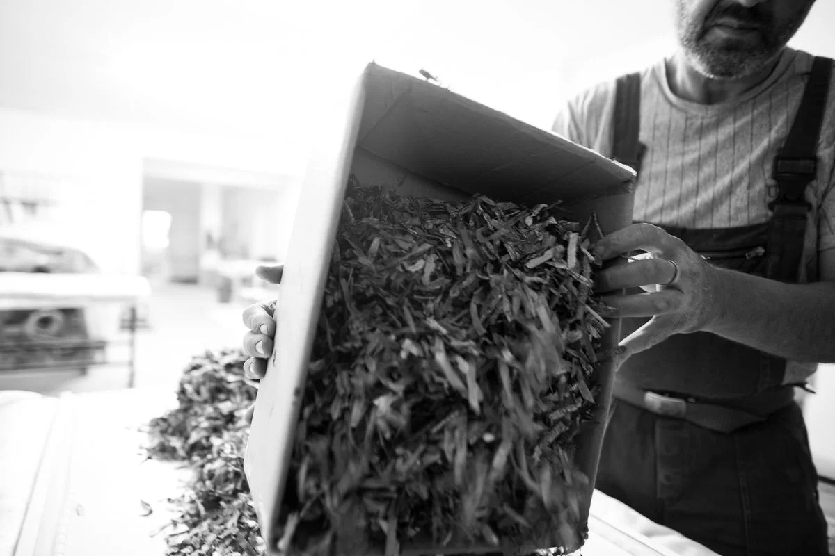 Shredded Posidonia oceanica residue being poured during PHEE production
