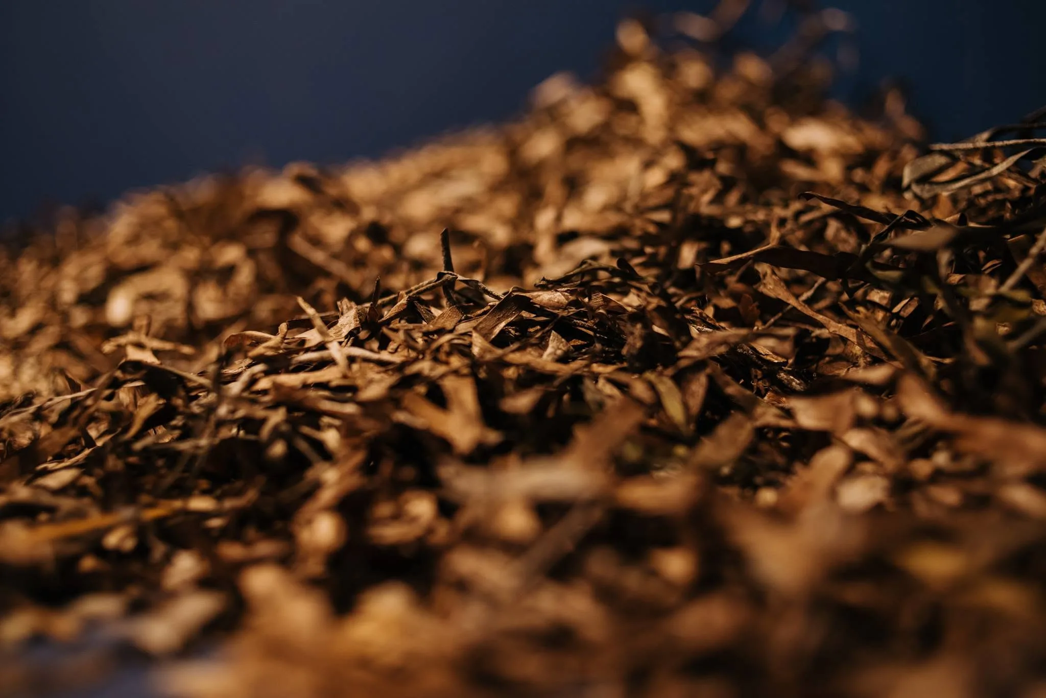 Raw plant-based residue — the feedstock behind PHEE materials