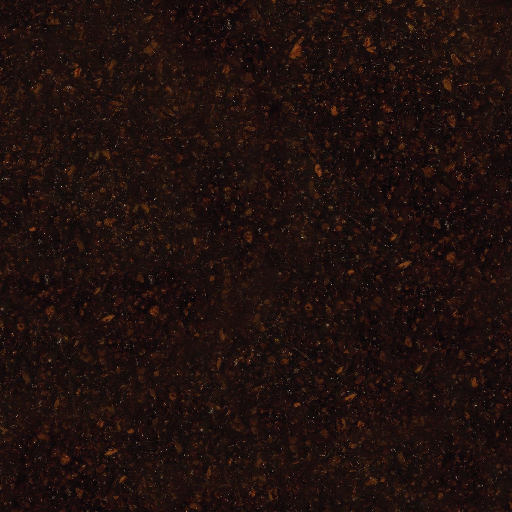 Coffee beans close-up