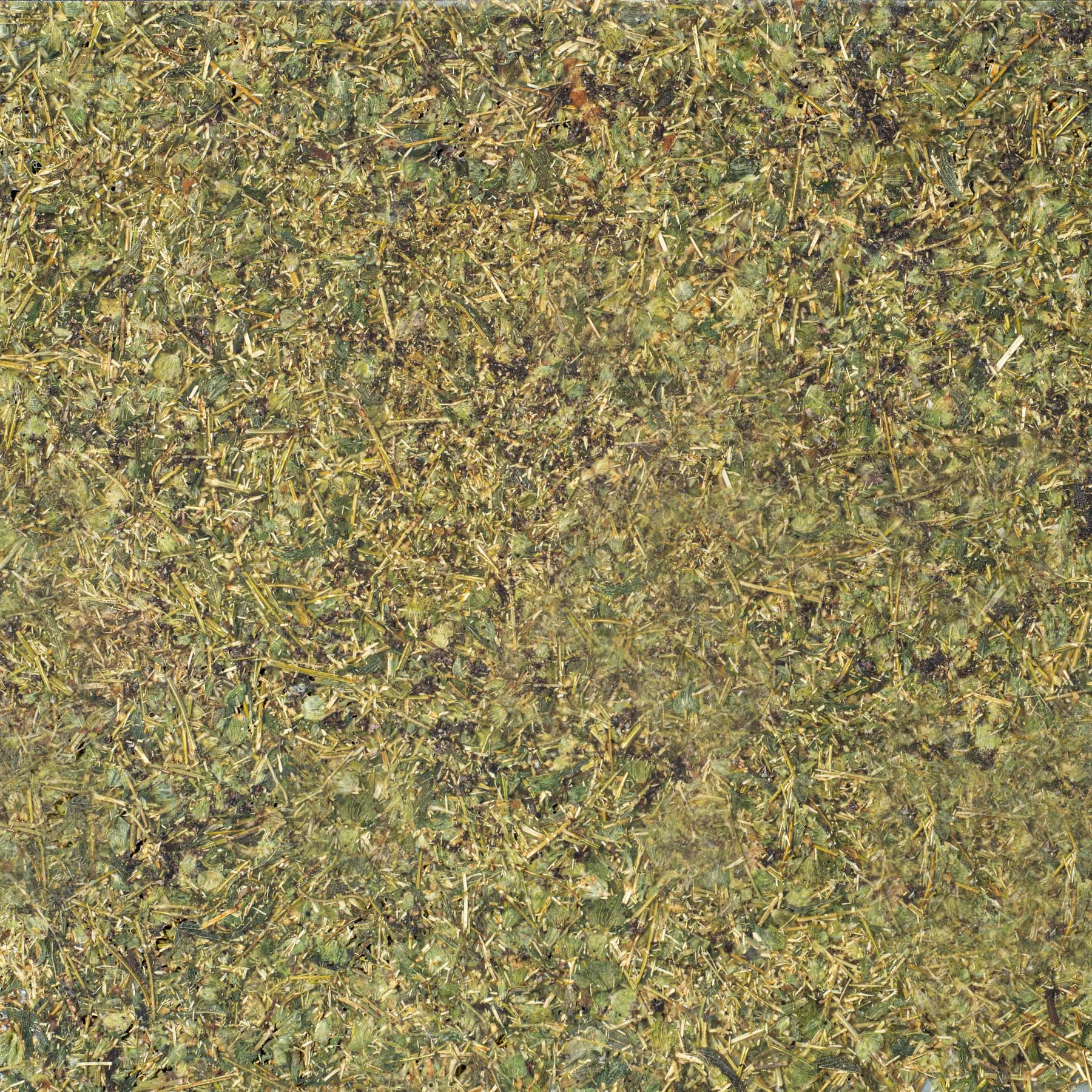 Tea leaves close-up