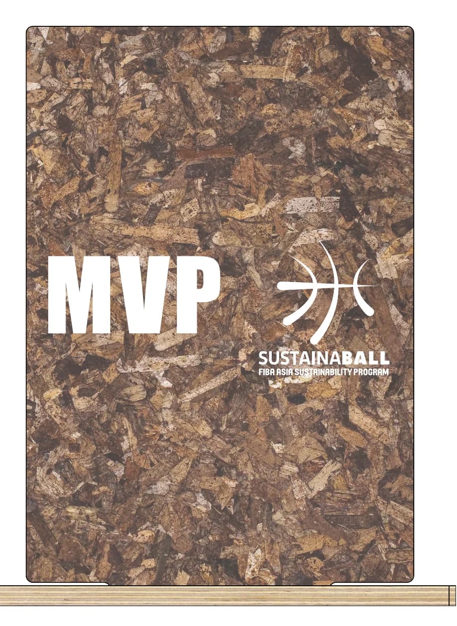 PHEE Board MVP award with the Sustainaball logo