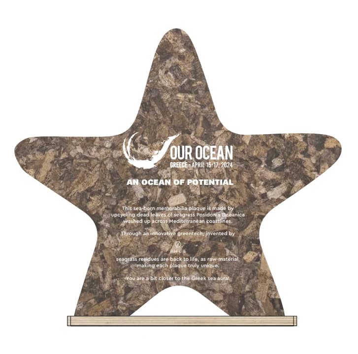 An Ocean of Potential star-shaped PHEE Board plaque — front with the Our Ocean mark