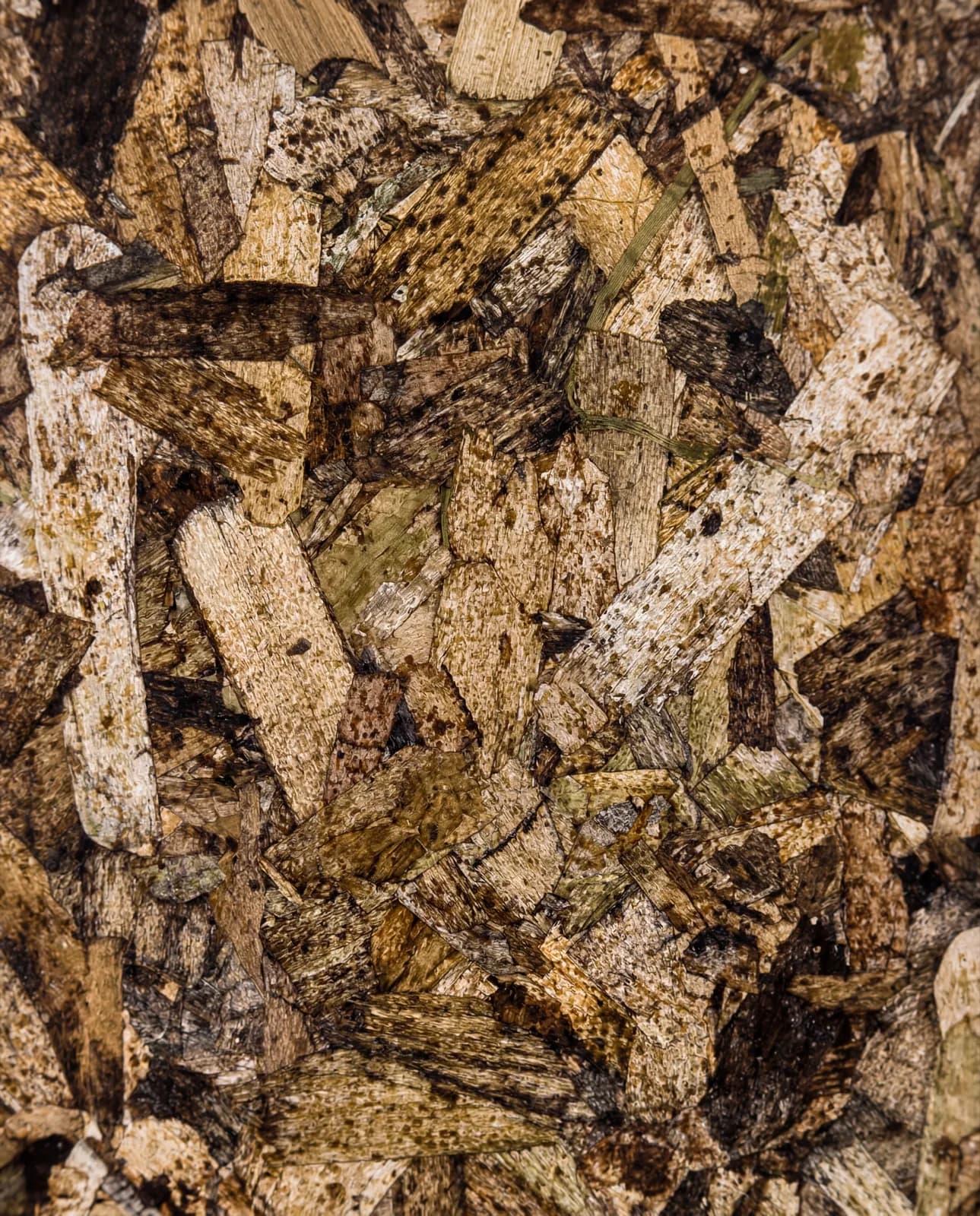 Macro close-up of a one-of-a-kind PHEE material surface of pressed plant fibers